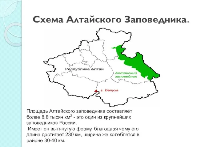 Схема Алтайского Заповедника. Площадь Алтайского заповедника составляет более 8,8 тысяч км2 -