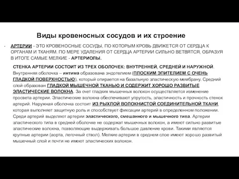 Виды кровеносных сосудов и их строение АРТЕРИИ - ЭТО КРОВЕНОСНЫЕ СОСУДЫ, ПО