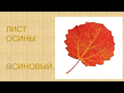 ЛИСТ ОСИНЫ - ОСИНОВЫЙ