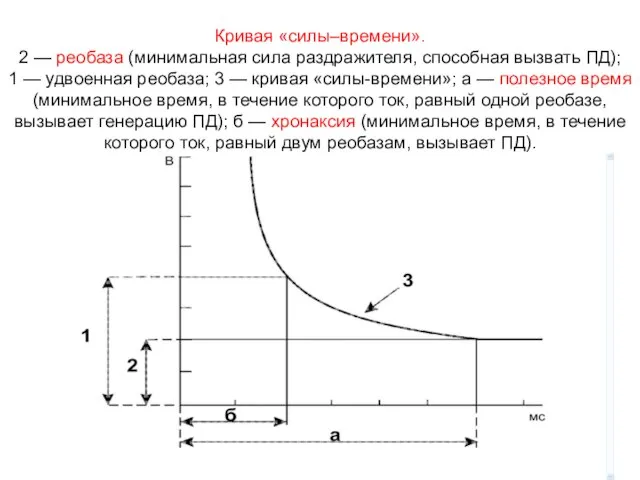 Кривая «силы–времени». 2 — реобаза (минимальная сила раздражителя, способная вызвать ПД); 1
