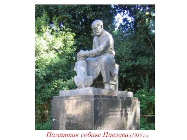 Памятник собаке Павлова.(1935 г.)