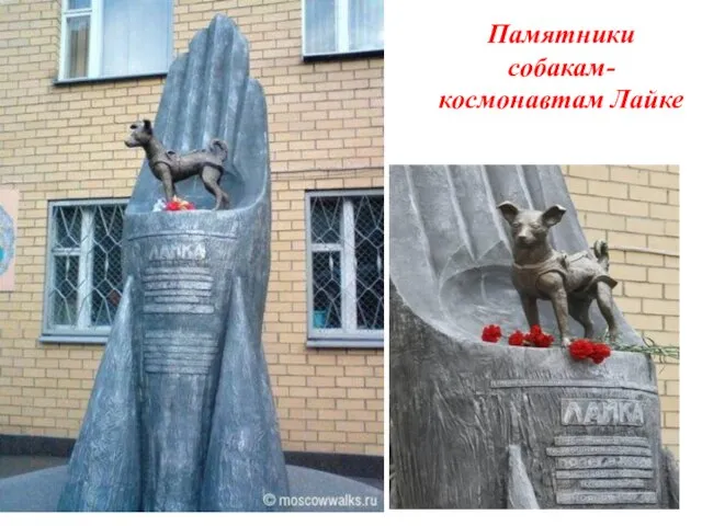 Памятники собакам-космонавтам Лайке