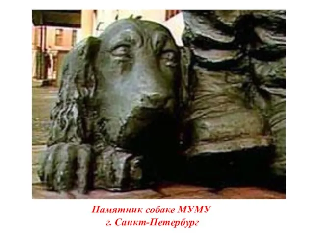 Памятник собаке МУМУ г. Санкт-Петербург