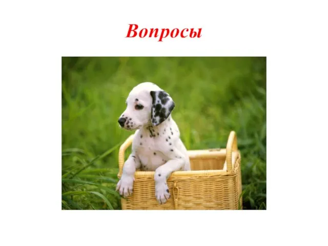 Вопросы