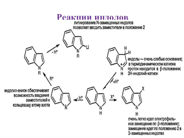 Реакции индолов