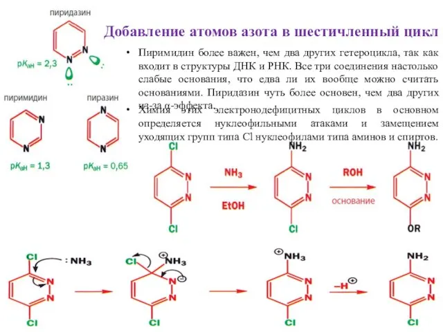 Добавление атомов азота в шестичленный цикл Пиримидин более важен, чем два других