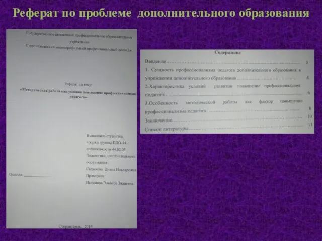 Реферат по проблеме дополнительного образования