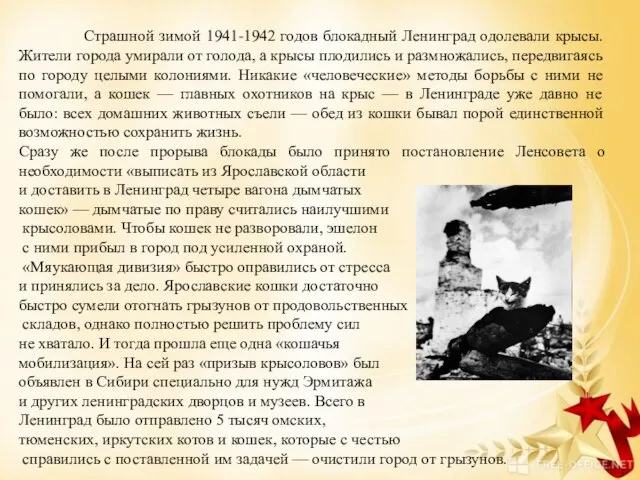 Страшной зимой 1941-1942 годов блокадный Ленинград одолевали крысы. Жители города умирали от