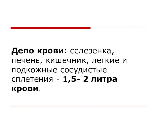 Депо крови: селезенка, печень, кишечник, легкие и подкожные сосудистые сплетения - 1,5- 2 литра крови.