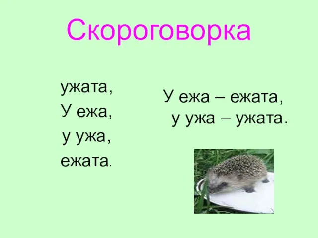 Скороговорка ужата, У ежа, у ужа, ежата. У ежа – ежата, у ужа – ужата.