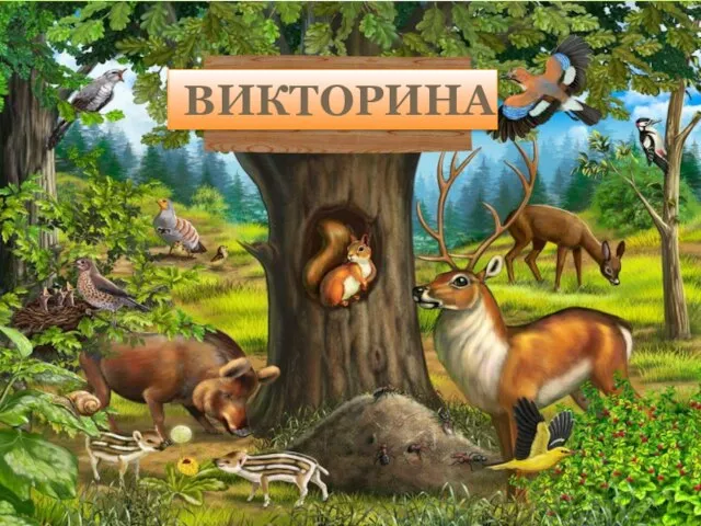 ВИКТОРИНА