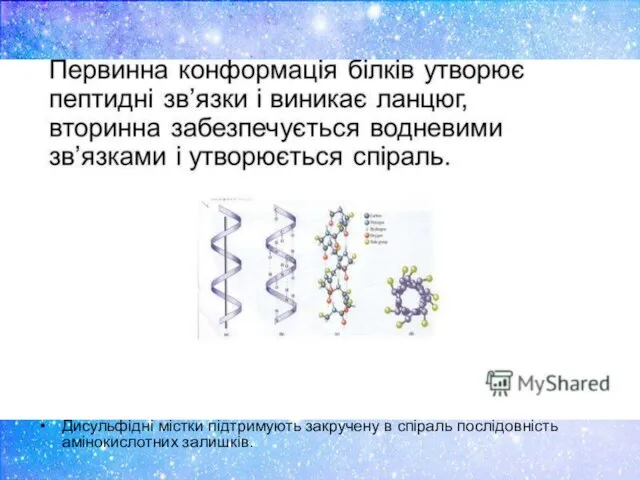 Дисульфідні містки підтримують закручену в спіраль послідовність амінокислотних залишків.