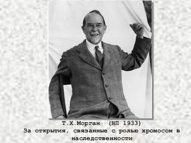 Т.Х.Морган (НП 1933) За открытия, связанные с ролью хромосом в наследственности