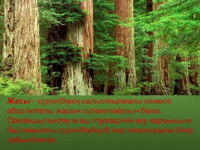 Жасы – сүрекдіңнің салыстырмалы немесе абсолютты жасын сипаттайтын белгі. Орманшылықта ағаш түрлерінің