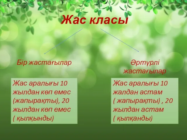 Жас класы Бір жастағылар Әртүрлі жастағылар Жас аралығы 10 жылдан көп емес