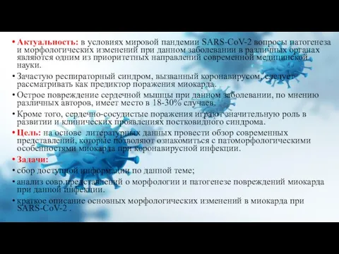 Актуальность: в условиях мировой пандемии SARS-CoV-2 вопросы патогенеза и морфологических изменений при