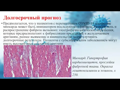 Долгосрочный прогноз Предполагается, что у пациентов с перенесенным COVID-19 поражение миокарда может