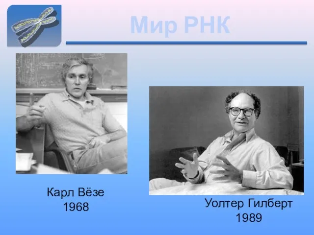 Мир РНК Уолтер Гилберт 1989 Карл Вёзе 1968