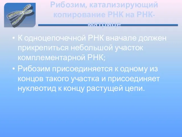 Рибозим, катализирующий копирование РНК на РНК-матрице К одноцепочечной РНК вначале должен прикрепиться