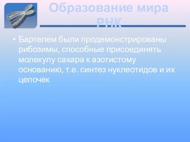 Образование мира РНК Бартелем были продемонстрированы рибозимы, способные присоединять молекулу сахара к