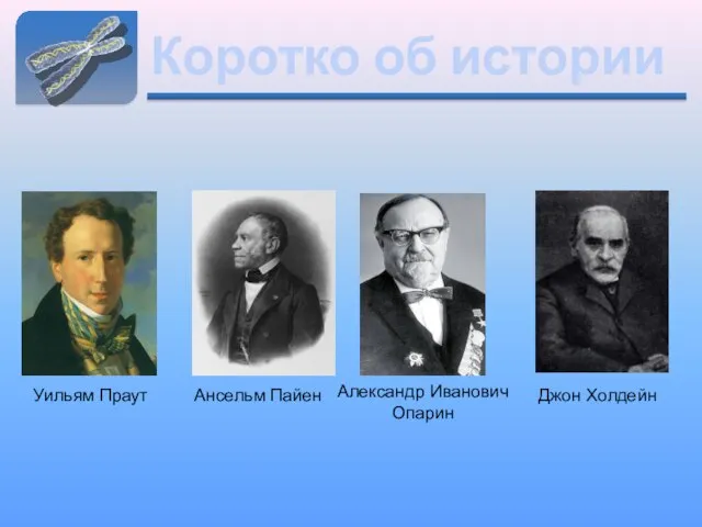 Коротко об истории Уильям Праут Ансельм Пайен Александр Иванович Опарин Джон Холдейн