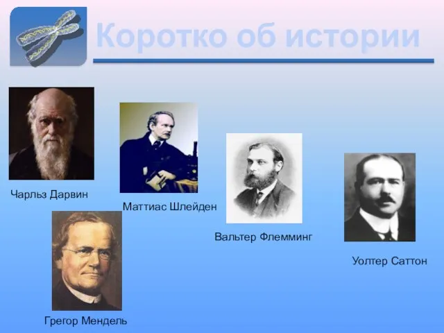 Коротко об истории Чарльз Дарвин Маттиас Шлейден Вальтер Флемминг Уолтер Саттон Фрэнсис Крик Грегор Мендель