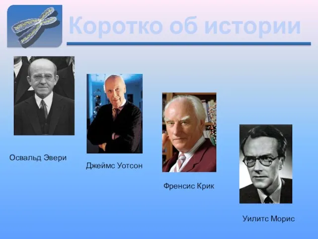 Коротко об истории Освальд Эвери Джеймс Уотсон Фрэнсис Крик Френсис Крик Уилитс Морис