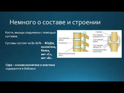 Немного о составе и строении Кости, мышцы соединены с помощью суставов. Суставы