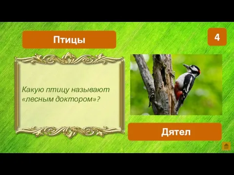 4 Дятел Птицы Какую птицу называют «лесным доктором»?