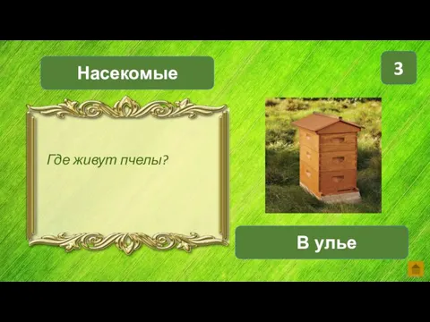 Насекомые В улье 3 Где живут пчелы?