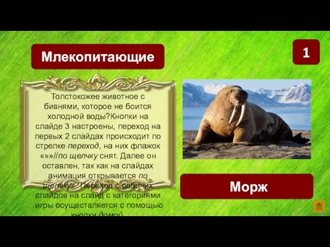 1 Млекопитающие Морж Толстокожее животное с бивнями, которое не боится холодной воды?Кнопки