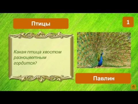 1 Павлин Птицы Какая птица хвостом разноцветным гордится?