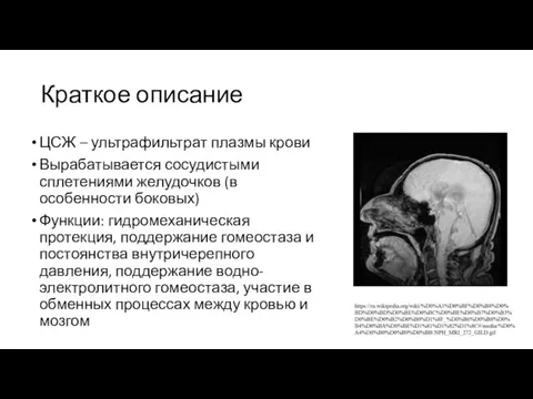 Краткое описание ЦСЖ – ультрафильтрат плазмы крови Вырабатывается сосудистыми сплетениями желудочков (в