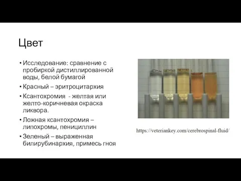 Цвет Исследование: сравнение с пробиркой дистиллированной воды, белой бумагой Красный – эритроцитархия