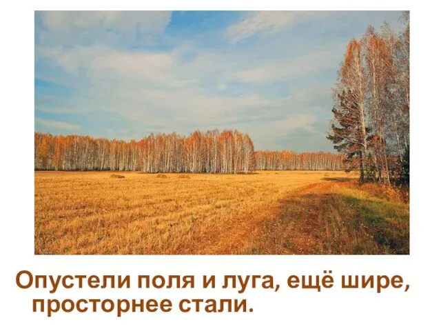 Опустели поля и луга, ещё шире, просторнее стали.