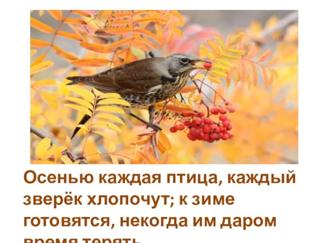 Осенью каждая птица, каждый зверёк хлопочут; к зиме готовятся, некогда им даром время терять.