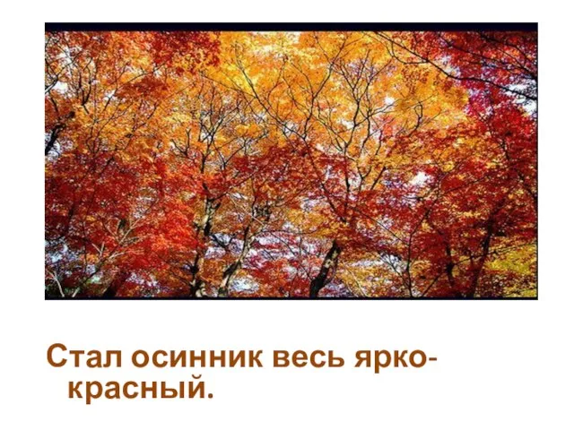 Стал осинник весь ярко-красный.