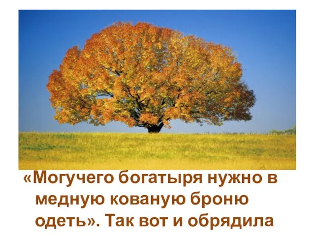 «Могучего богатыря нужно в медную кованую броню одеть». Так вот и обрядила она старика.