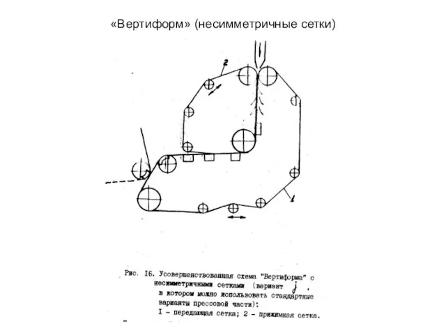 «Вертиформ» (несимметричные сетки)