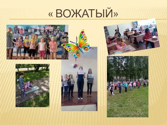 « ВОЖАТЫЙ»