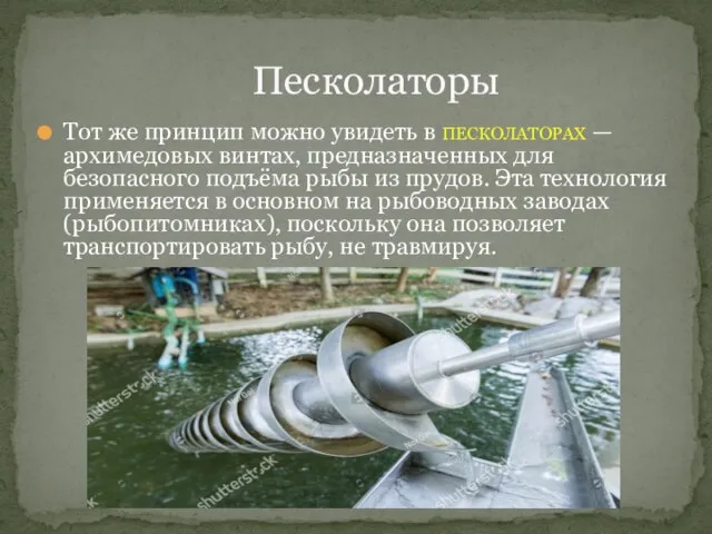 Песколаторы Тот же принцип можно увидеть в ПЕСКОЛАТОРАХ — архимедовых винтах, предназначенных