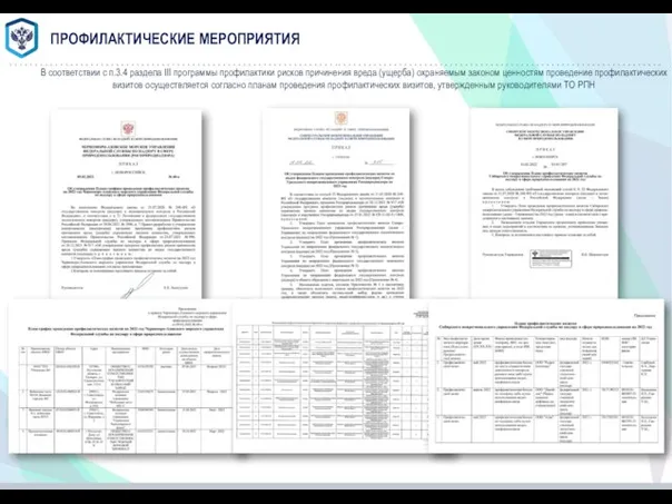 ПРОФИЛАКТИЧЕСКИЕ МЕРОПРИЯТИЯ В соответствии с п.3.4 раздела III программы профилактики рисков причинения