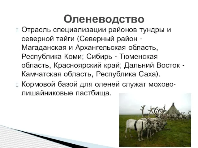 Отрасль специализации районов тундры и северной тайги (Северный район - Магаданская и