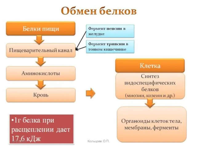 18.02.2021 Кольцова О.П.