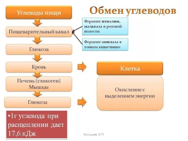 18.02.2021 Кольцова О.П.