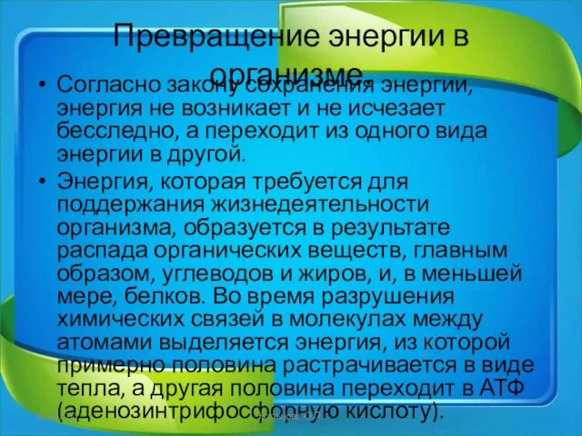 Превращение энергии в организме. Согласно закону сохранения энергии, энергия не возникает и