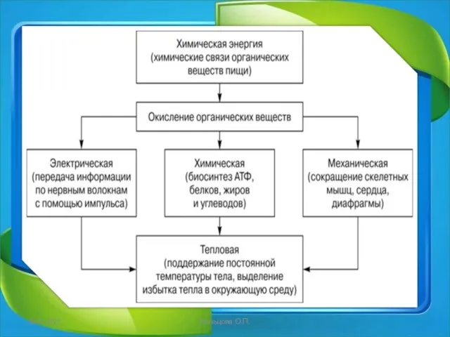 18.02.2021 Кольцова О.П.