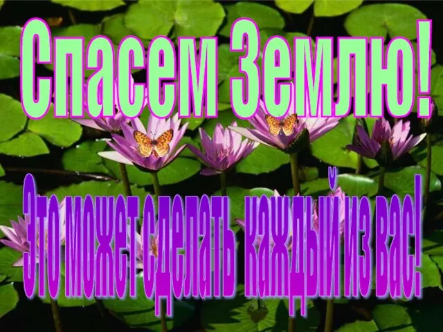 Спасем Землю! Это может сделать каждый из вас!