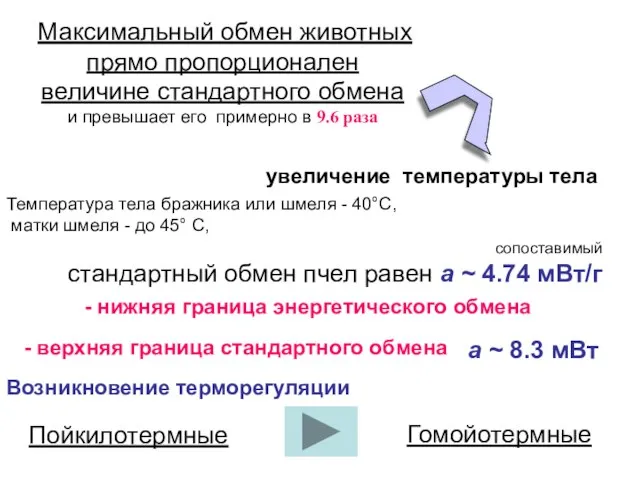 Максимальный обмен животных прямо пропорционален величине стандартного обмена и превышает его примерно