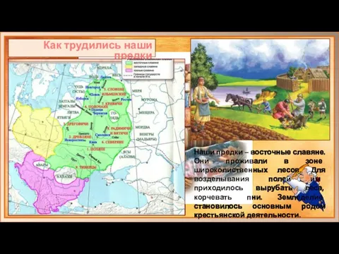 Как трудились наши предки Наши предки – восточные славяне. Они проживали в